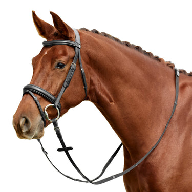 Dublin Padded Mono Crown Flash Bridle| Online For Equine