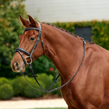 Dublin Padded Mono Crown Flash Bridle| Online For Equine