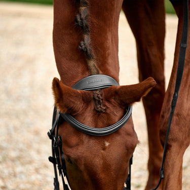Dublin Padded Mono Crown Flash Bridle| Online For Equine
