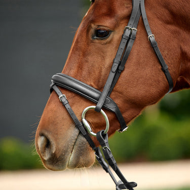 Dublin Padded Mono Crown Flash Bridle| Online For Equine