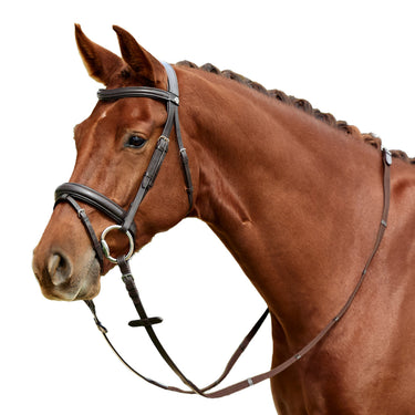 Dublin Padded Mono Crown Flash Bridle| Online For Equine