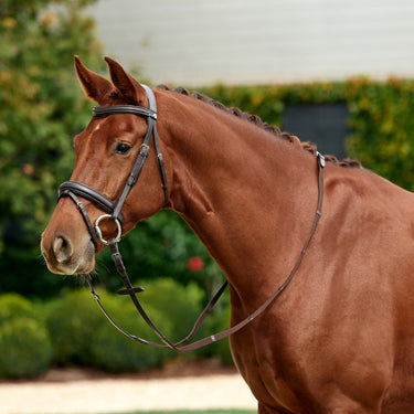 Dublin Padded Mono Crown Flash Bridle| Online For Equine