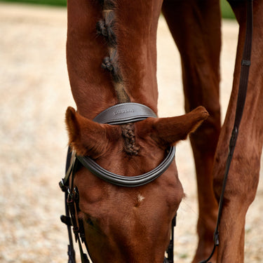 Dublin Padded Mono Crown Flash Bridle| Online For Equine