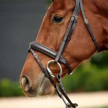 Dublin Padded Mono Crown Flash Bridle| Online For Equine