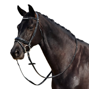 Dublin Padded Mono Crown Patent Flash Bridle| Online For Equine