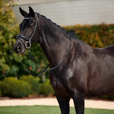 Dublin Padded Mono Crown Patent Flash Bridle| Online For Equine
