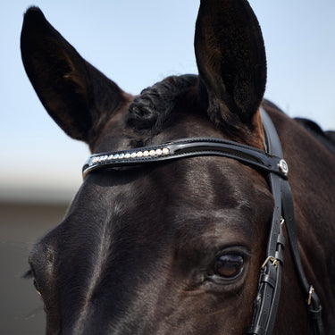 Dublin Padded Mono Crown Patent Flash Bridle| Online For Equine