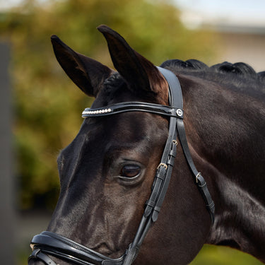 Dublin Padded Mono Crown Patent Flash Bridle| Online For Equine