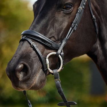 Dublin Padded Mono Crown Patent Flash Bridle| Online For Equine