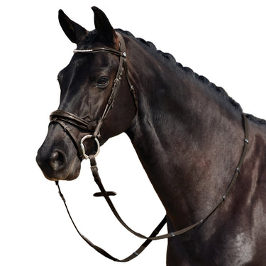Dublin Padded Mono Crown Patent Flash Bridle| Online For Equine