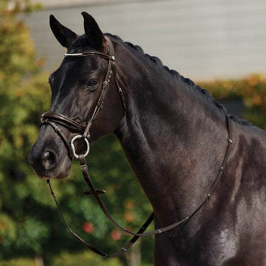 Dublin Padded Mono Crown Patent Flash Bridle| Online For Equine