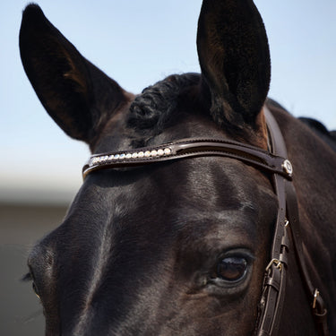 Dublin Padded Mono Crown Patent Flash Bridle| Online For Equine