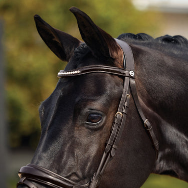 Dublin Padded Mono Crown Patent Flash Bridle| Online For Equine