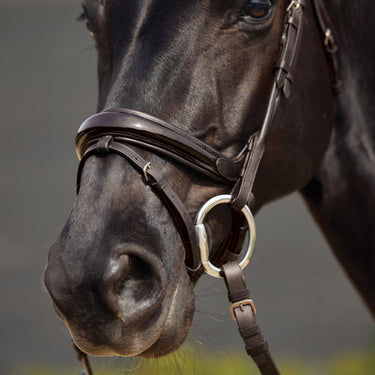 Dublin Padded Mono Crown Patent Flash Bridle| Online For Equine