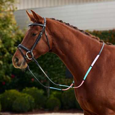 Dublin Pastel Rainbow Reins| Online For Equine