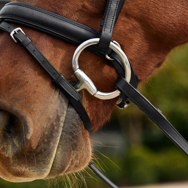 Dublin Pastel Rainbow Reins| Online For Equine