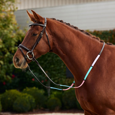 Dublin Pastel Rainbow Reins| Online For Equine