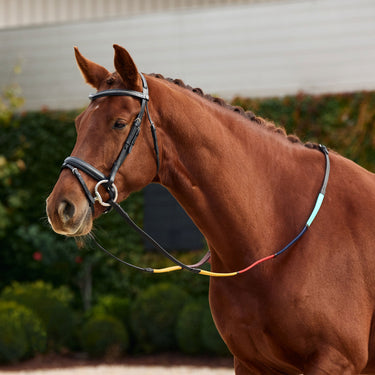 Dublin Rainbow Reins| Online For Equine