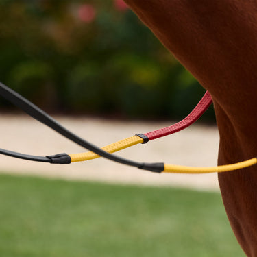 Dublin Rainbow Reins| Online For Equine