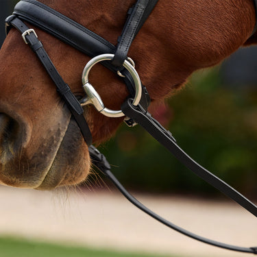 Dublin Rainbow Reins| Online For Equine