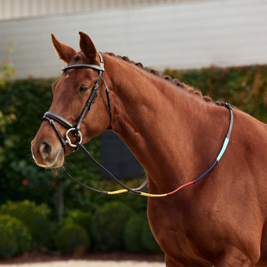 Dublin Rainbow Reins| Online For Equine