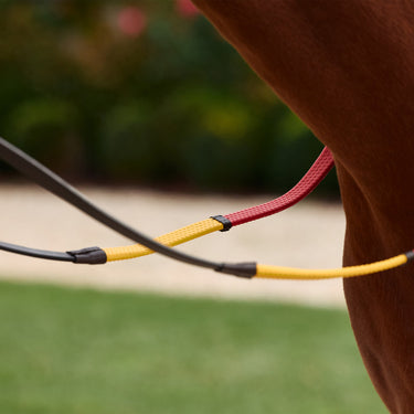 Dublin Rainbow Reins| Online For Equine