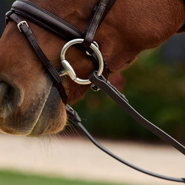 Dublin Rainbow Reins| Online For Equine
