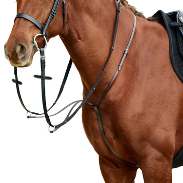 Dublin Running Martingale| Online For Equine