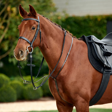 Dublin Running Martingale| Online For Equine
