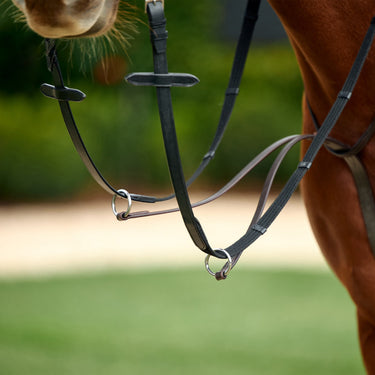 Dublin Running Martingale| Online For Equine