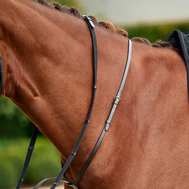 Dublin Running Martingale| Online For Equine