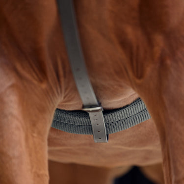 Dublin Running Martingale| Online For Equine