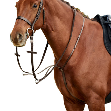Dublin Running Martingale| Online For Equine