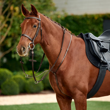Dublin Running Martingale| Online For Equine