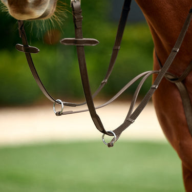 Dublin Running Martingale| Online For Equine