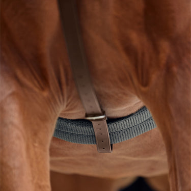 Dublin Running Martingale| Online For Equine