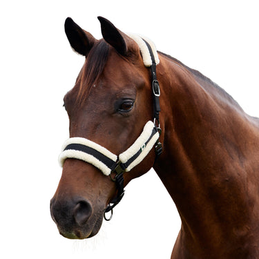 Dublin Soft Fit Headcollar| Online For Equine
