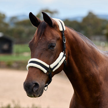 Dublin Soft Fit Headcollar| Online For Equine
