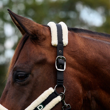 Dublin Soft Fit Headcollar| Online For Equine