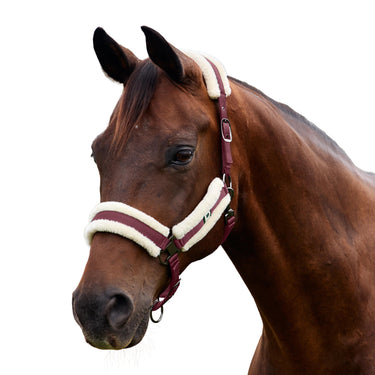 Dublin Soft Fit Headcollar| Online For Equine