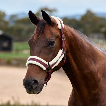 Dublin Soft Fit Headcollar| Online For Equine
