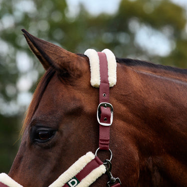 Dublin Soft Fit Headcollar| Online For Equine