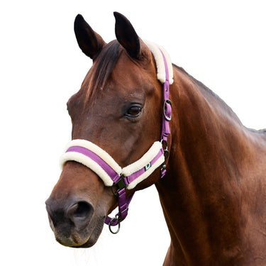 Dublin Soft Fit Headcollar| Online For Equine