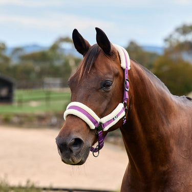 Dublin Soft Fit Headcollar| Online For Equine