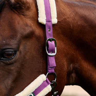 Dublin Soft Fit Headcollar| Online For Equine