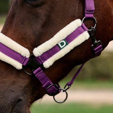 Dublin Soft Fit Headcollar| Online For Equine