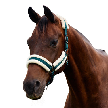 Dublin Soft Fit Headcollar| Online For Equine