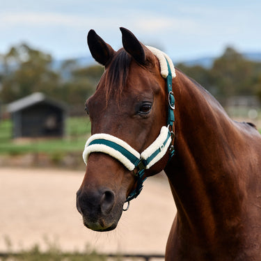 Dublin Soft Fit Headcollar| Online For Equine