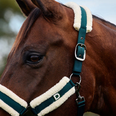 Dublin Soft Fit Headcollar| Online For Equine