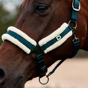 Dublin Soft Fit Headcollar| Online For Equine